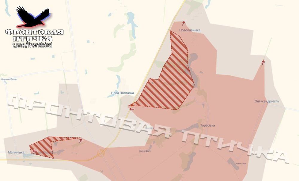 О продвижении ВС РФ на Донецком направлении сообщает "Фронтовая птичка":