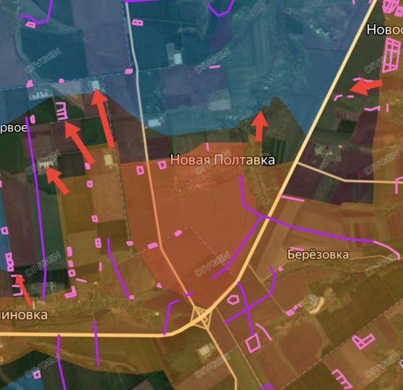 ВС РФ освободили Новую Полтавку