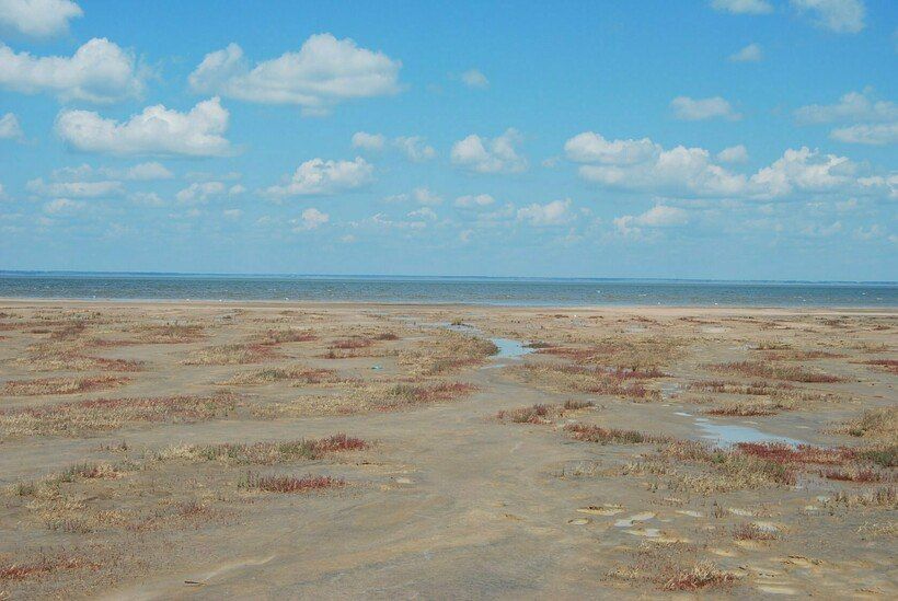 Озеро Эбейты расположено в Омской области, на стыке границ Москаленского, Исилькульского и Полтавского районов Озеро Эбейты расположено в Омской области, на стыке границ Москаленского, Исилькульского и Полтавского районов