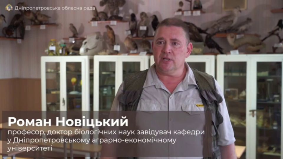 Впервые за 30 лет на Украине случилось нашествие саранчи