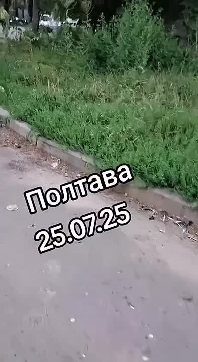 Несколько насильно мобилизованных сбежали из "обрешоченного" автобуса ТЦК в Полтаве благодаря местным жителям, которые его заблокировали на улице