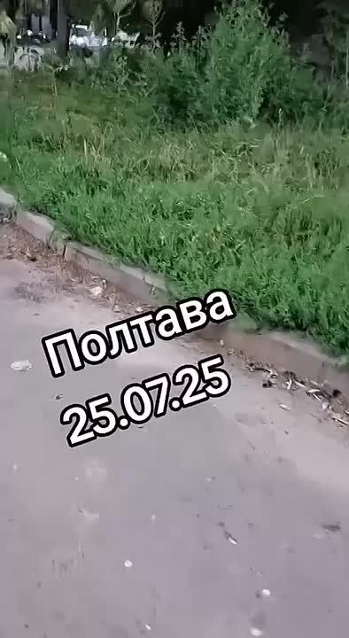 В Полтаве мобилизованным удалось сбежать из буса ТЦК