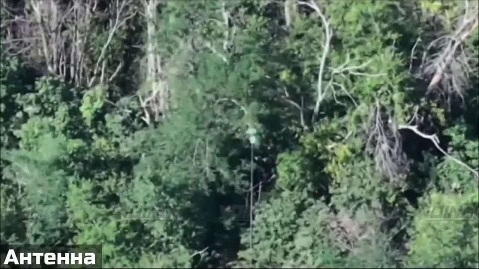 Операторы 14 гвардейской бригады спецназа, действующие совместно с подразделениями 5 армии в Запорожской области, уничтожают автомобильную технику, вооружение и средства связи противника