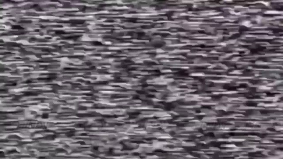  14      &quot;&quot;    , ,        5 