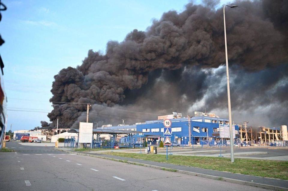 Сергей Колясников: - Что это за вой на болотах, Бэрримор? Сергей Колясников: - Что это за вой на болотах, Бэрримор?