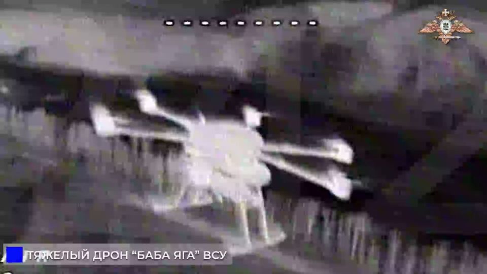 Работа русских дроноводов по БПЛА противника в воздухе над Новой Полтавкой и Полтавкой Работа русских дроноводов по БПЛА противника в воздухе над Новой Полтавкой и Полтавкой