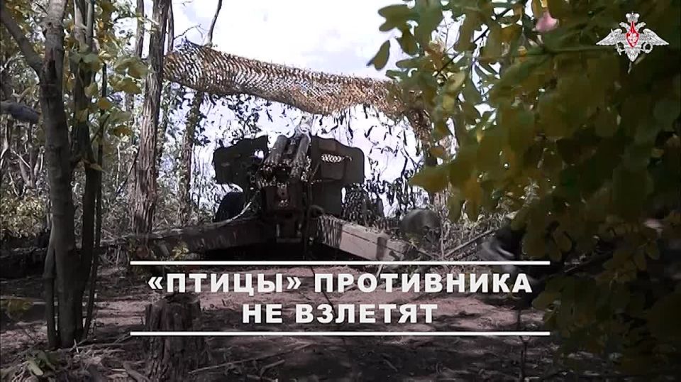 Минобороны России: Артиллеристы группировки войск «Восток» уничтожили пункты управления беспилотниками ВСУ в районе населённого пункта Полтавка в Запорожской области