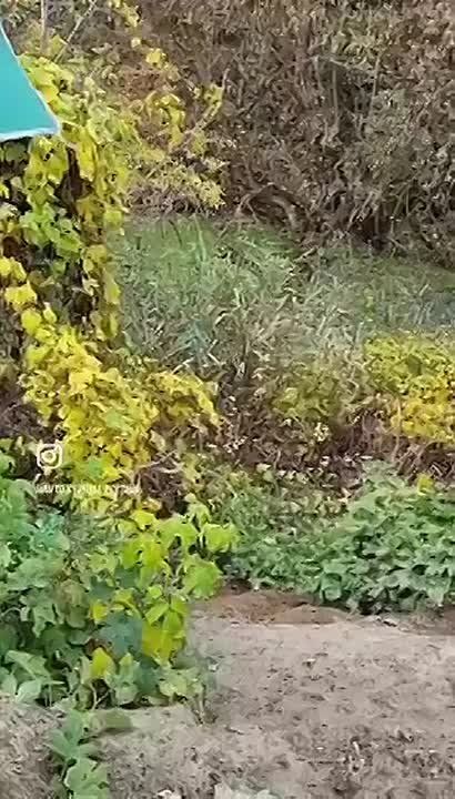 Полтава. Сотрудники ТЦК заехали на СТО с известной целью