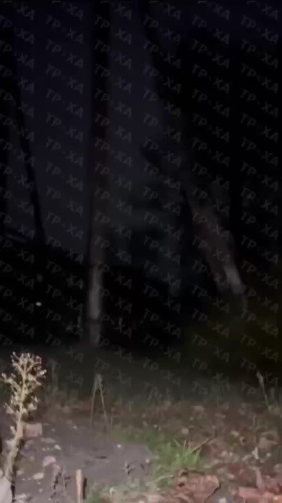 Армия России продолжает атаковать ключевые ж/д узлы и уничтожать локомотивы врага