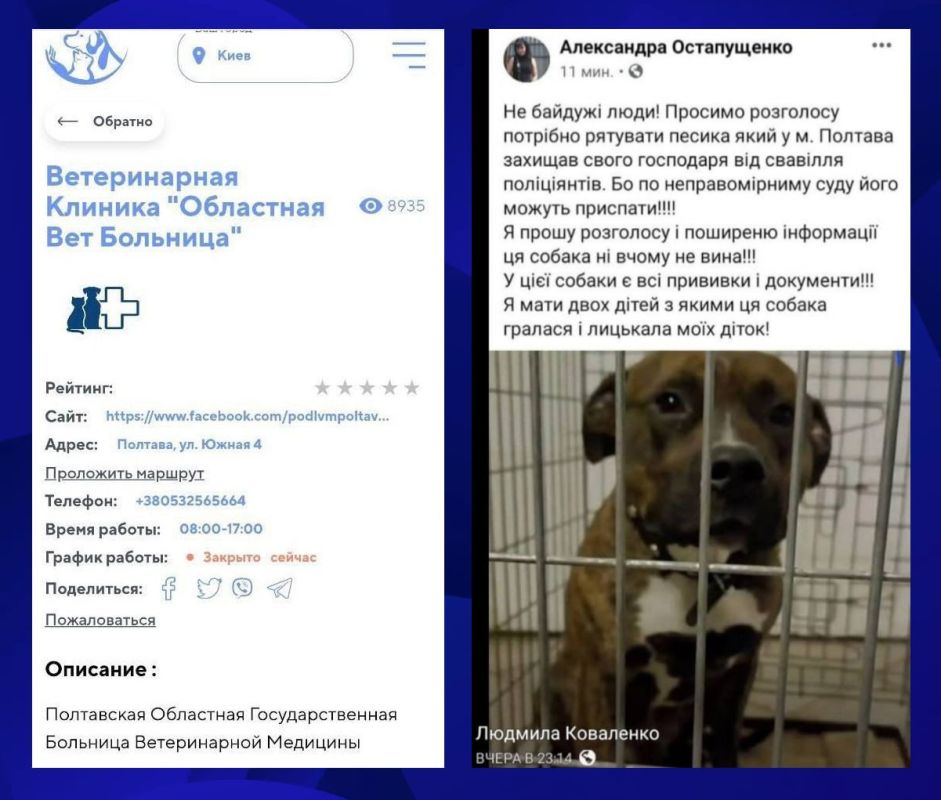 �������-������� �� ������� ������� ������� ������, ������� �������� ���