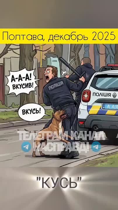 ��� ����������� �������� ������ ��������� ���������� ���� - ��� �� ������