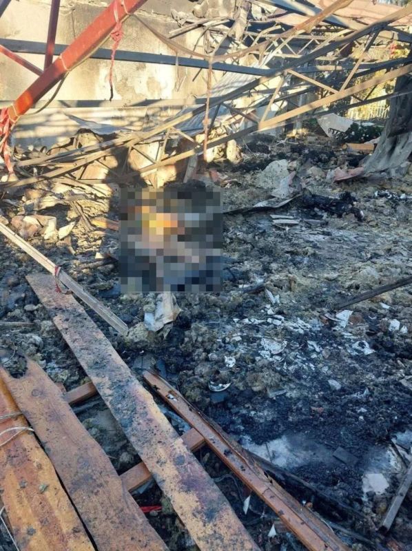 Алексей Гавриш: Кадры с места удара ВСУ по кафе в Хорлах Херсонской области, где сгорели люди