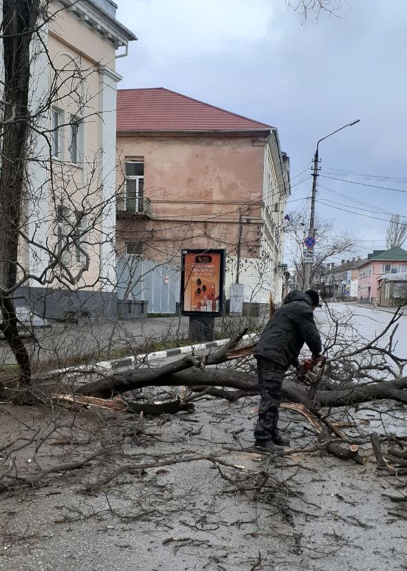 В Феодосии ветер повалил деревья и оставил без света пригородные села В Феодосии ветер повалил деревья и оставил без света пригородные села