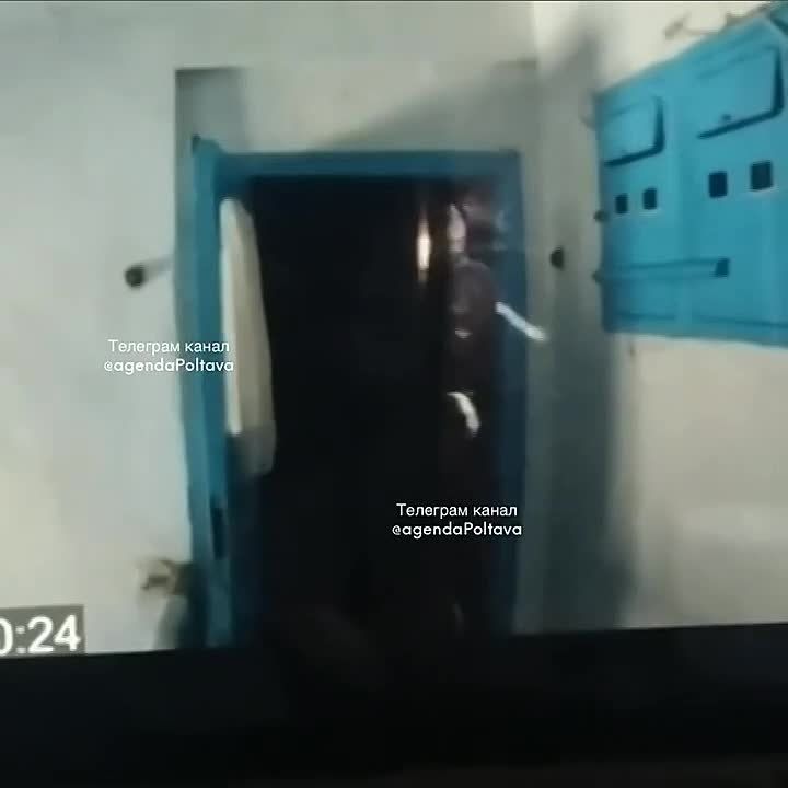 �� ���, � ���� �� ������, �� ����������