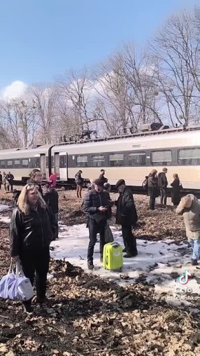 �������� ���������: ����� � ���������� ������� ����� �������� �� ������, ����� ��������� �������