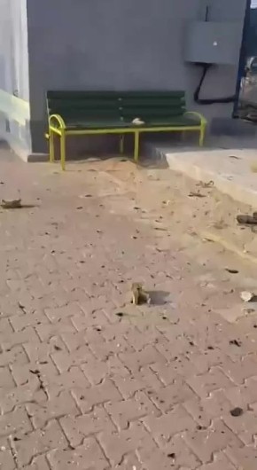 � ���������� � ���������������� �������� ����� "������" ������� ����� �� �/� ��������, ������������ � ��������� ���