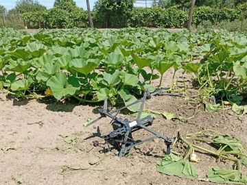 ���� ����: ���� ��� � ������ ���������� 269 ���������� ���� ��� 13 ���������� ��: