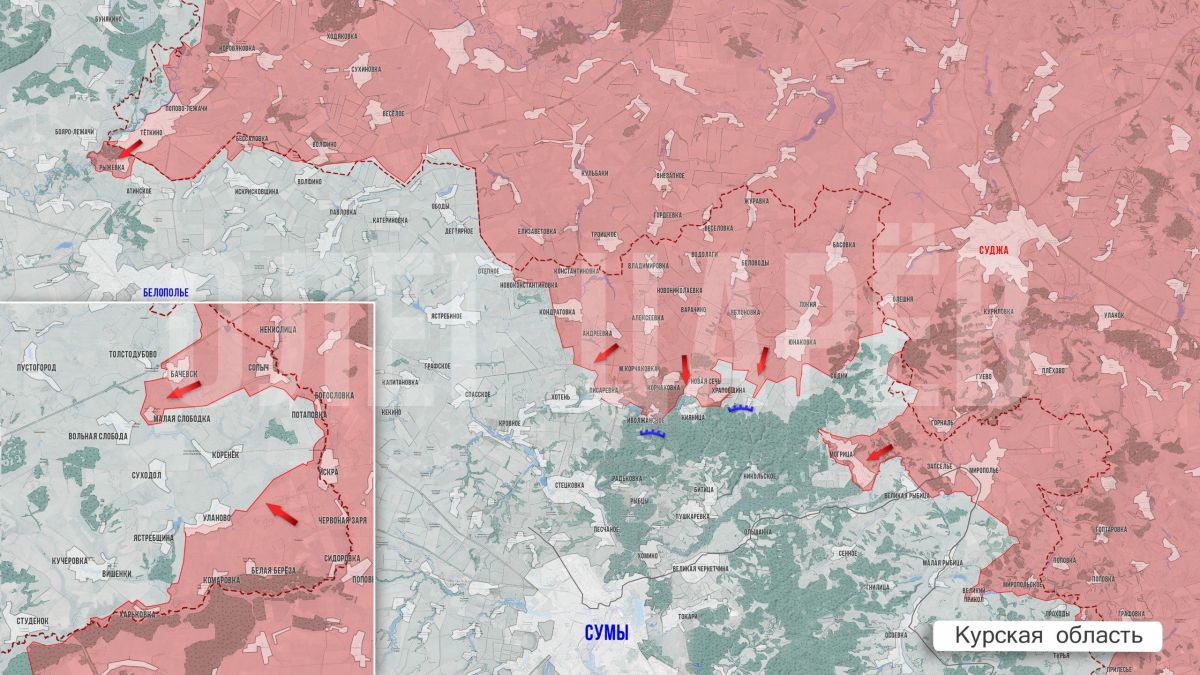 Олег Царёв: Фронтовая сводка 22 сентября Олег Царёв: Фронтовая сводка 22 сентября